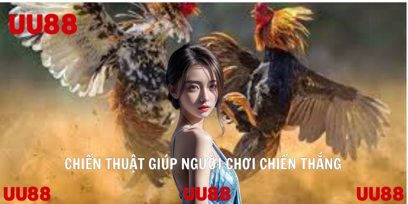 Chiến thuật giúp người chơi chiến thắng khi tham gia đá gà cựa sắt