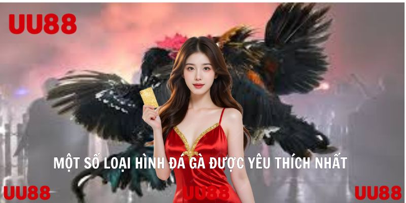 Một số loại hình đá gà UU88 được yêu thích nhất tại sảnh cược